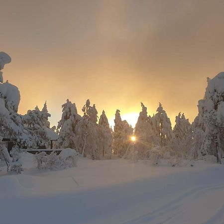 Ro I Sjelen. Hytte Til Leie Pa Skrim. Kongsberg Bagian luar foto