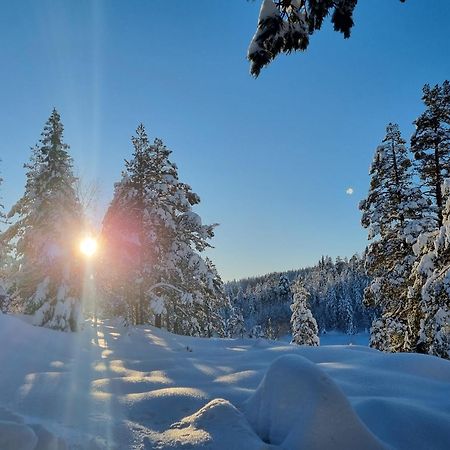 Ro I Sjelen. Hytte Til Leie Pa Skrim. Kongsberg Bagian luar foto