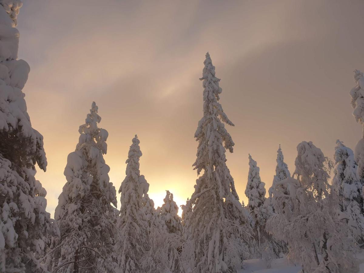 Ro I Sjelen. Hytte Til Leie Pa Skrim. Kongsberg Bagian luar foto
