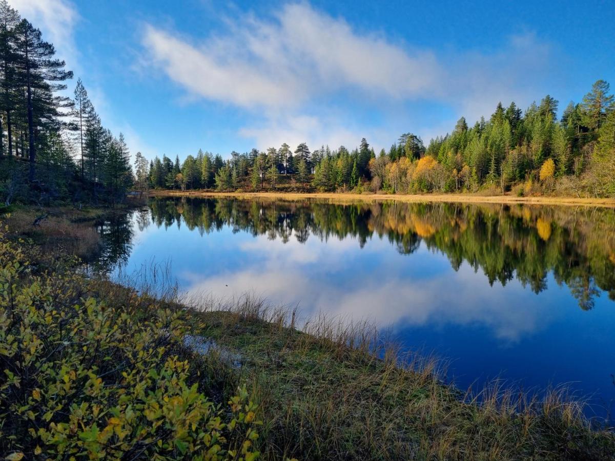 Ro I Sjelen. Hytte Til Leie Pa Skrim. Kongsberg Bagian luar foto