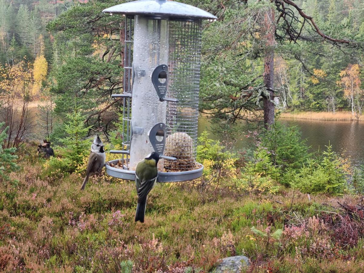 Ro I Sjelen. Hytte Til Leie Pa Skrim. Kongsberg Bagian luar foto