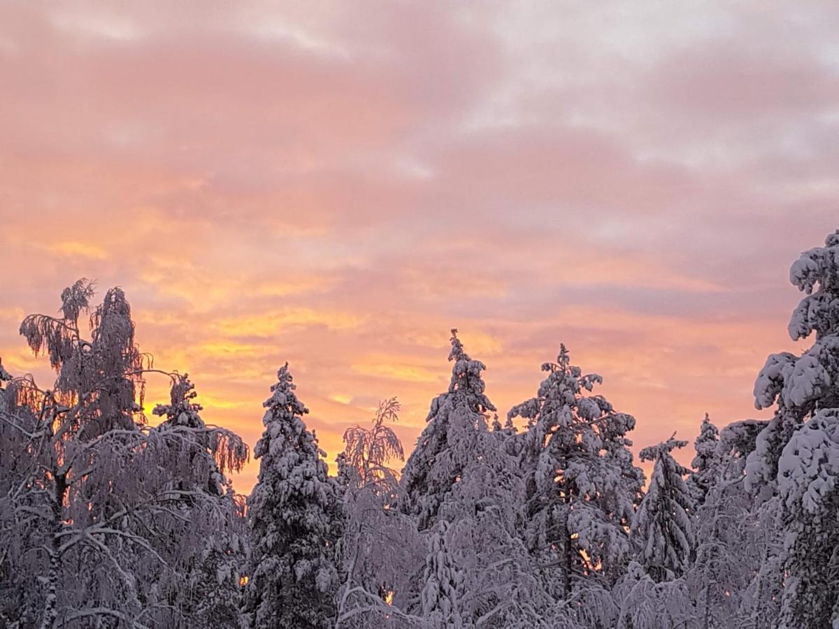 Ro I Sjelen. Hytte Til Leie Pa Skrim. Kongsberg Bagian luar foto