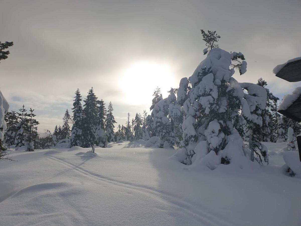 Ro I Sjelen. Hytte Til Leie Pa Skrim. Kongsberg Bagian luar foto