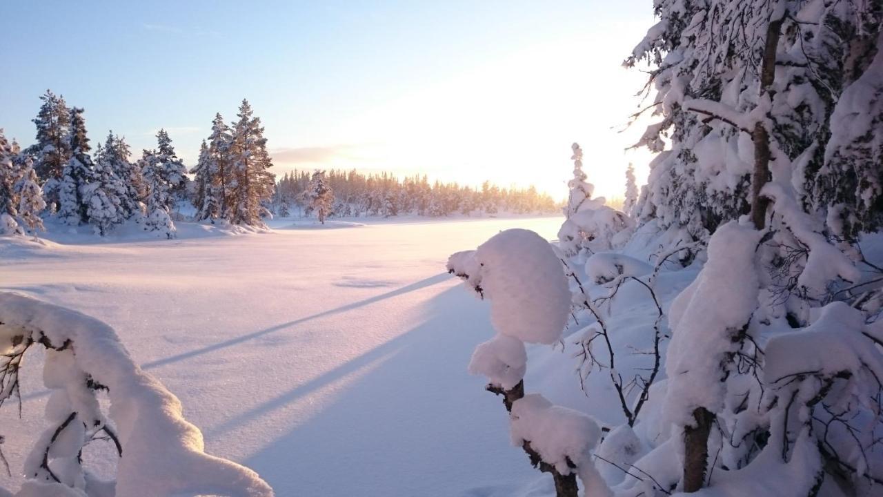 Ro I Sjelen. Hytte Til Leie Pa Skrim. Kongsberg Bagian luar foto