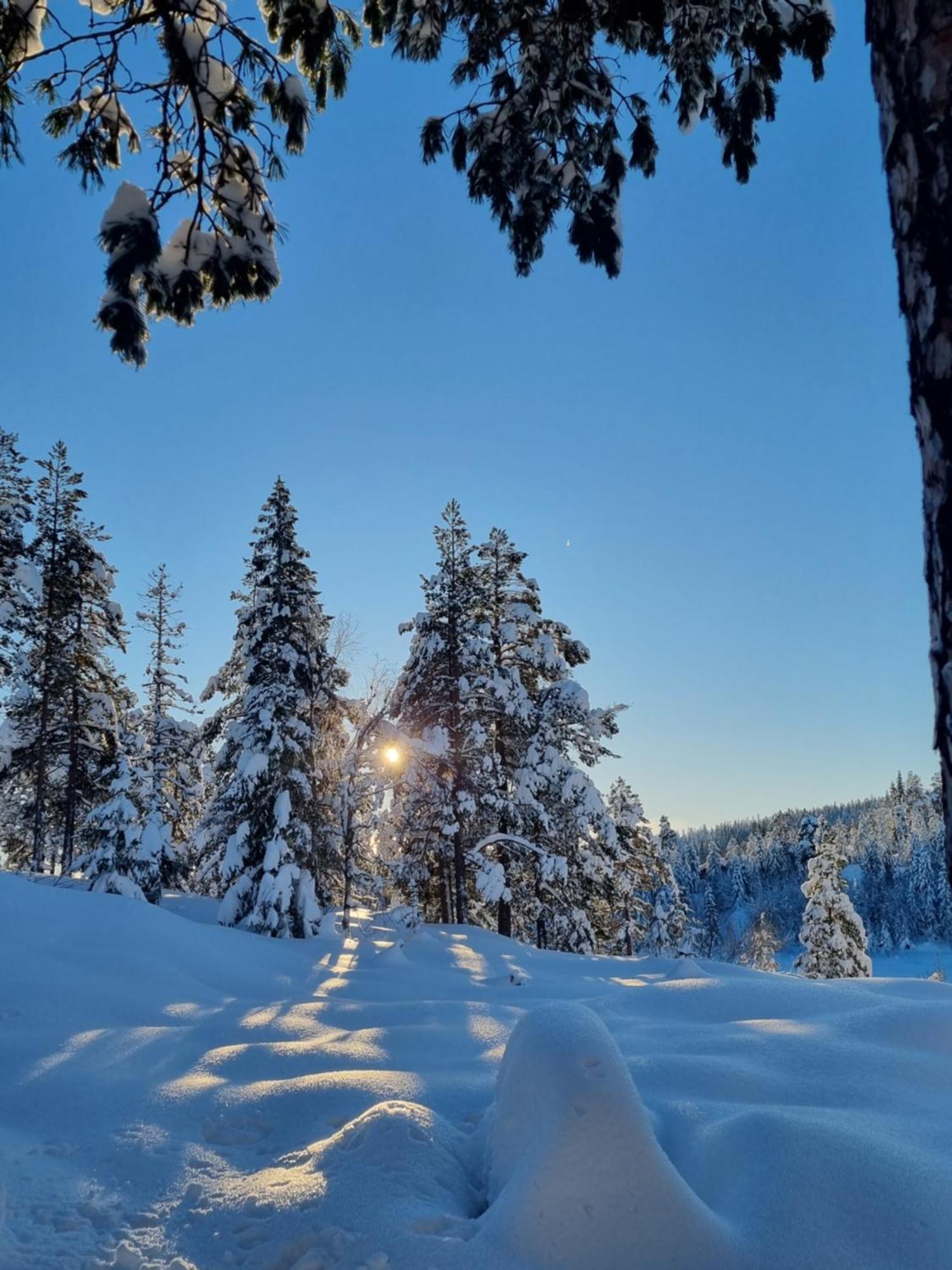 Ro I Sjelen. Hytte Til Leie Pa Skrim. Kongsberg Bagian luar foto