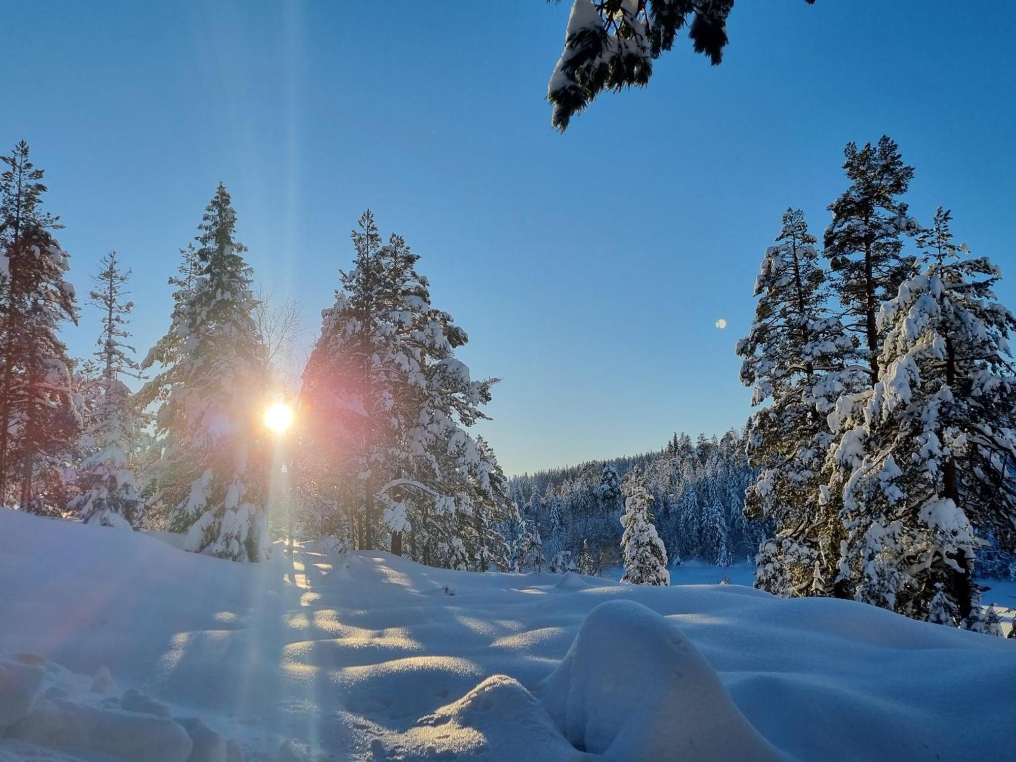 Ro I Sjelen. Hytte Til Leie Pa Skrim. Kongsberg Bagian luar foto