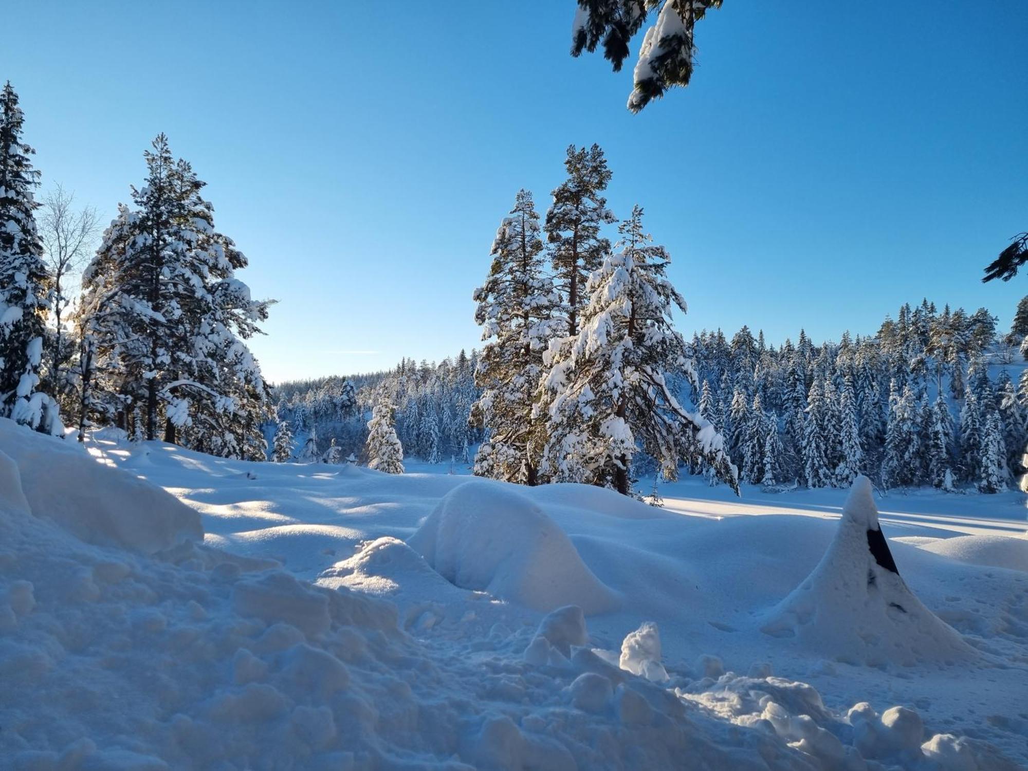 Ro I Sjelen. Hytte Til Leie Pa Skrim. Kongsberg Bagian luar foto