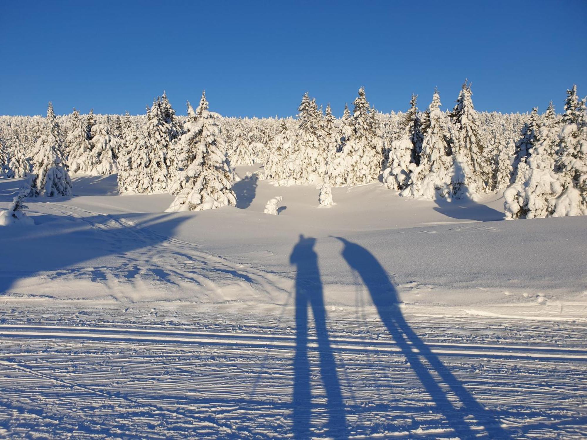 Ro I Sjelen. Hytte Til Leie Pa Skrim. Kongsberg Bagian luar foto