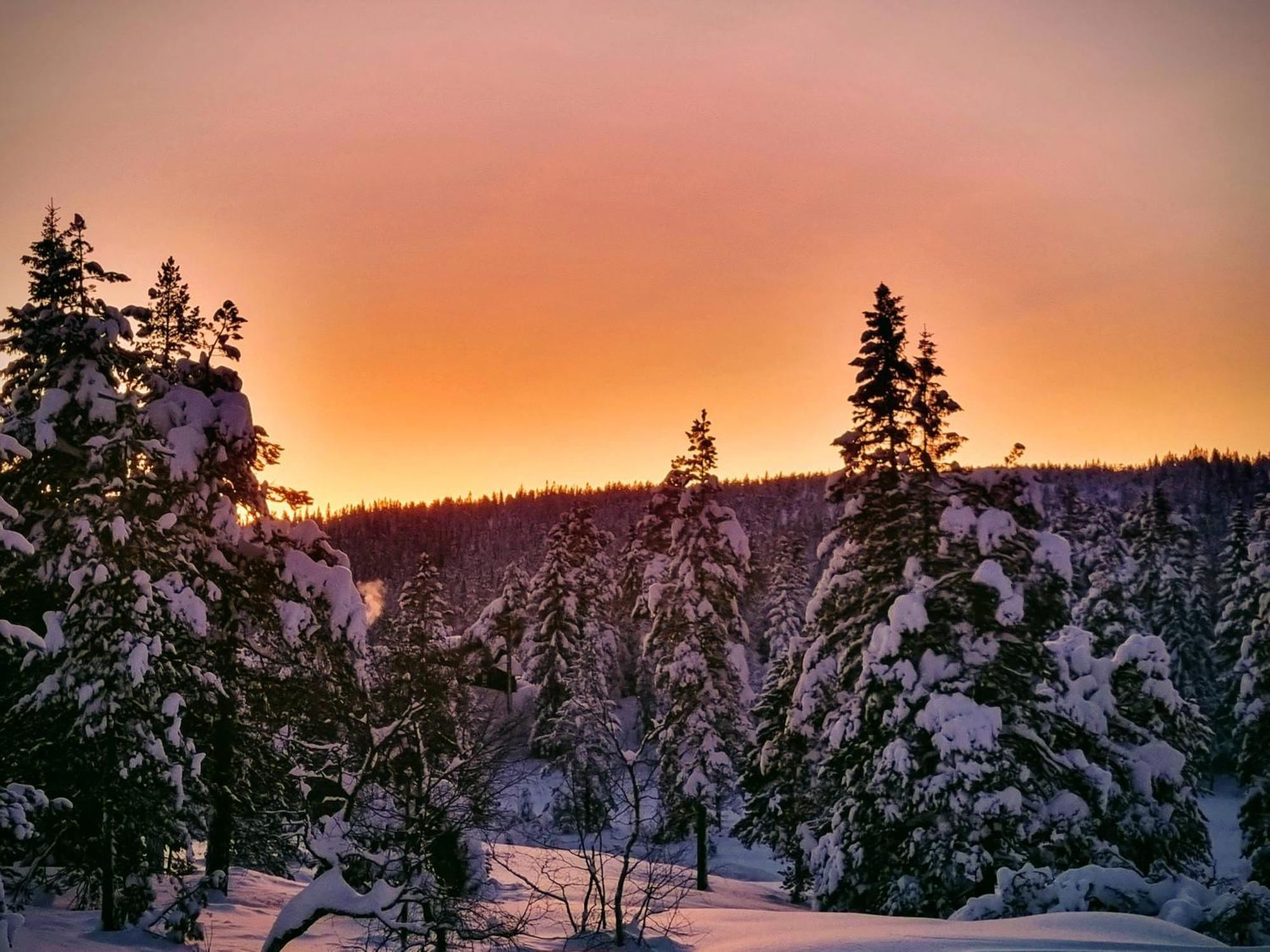 Ro I Sjelen. Hytte Til Leie Pa Skrim. Kongsberg Bagian luar foto