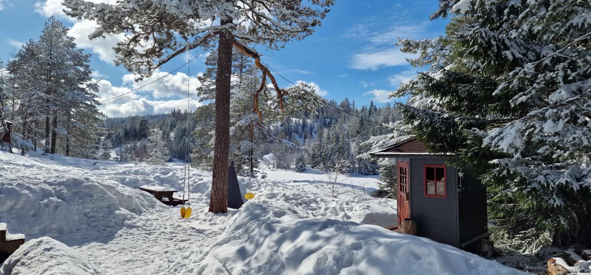 Ro I Sjelen. Hytte Til Leie Pa Skrim. Kongsberg Bagian luar foto