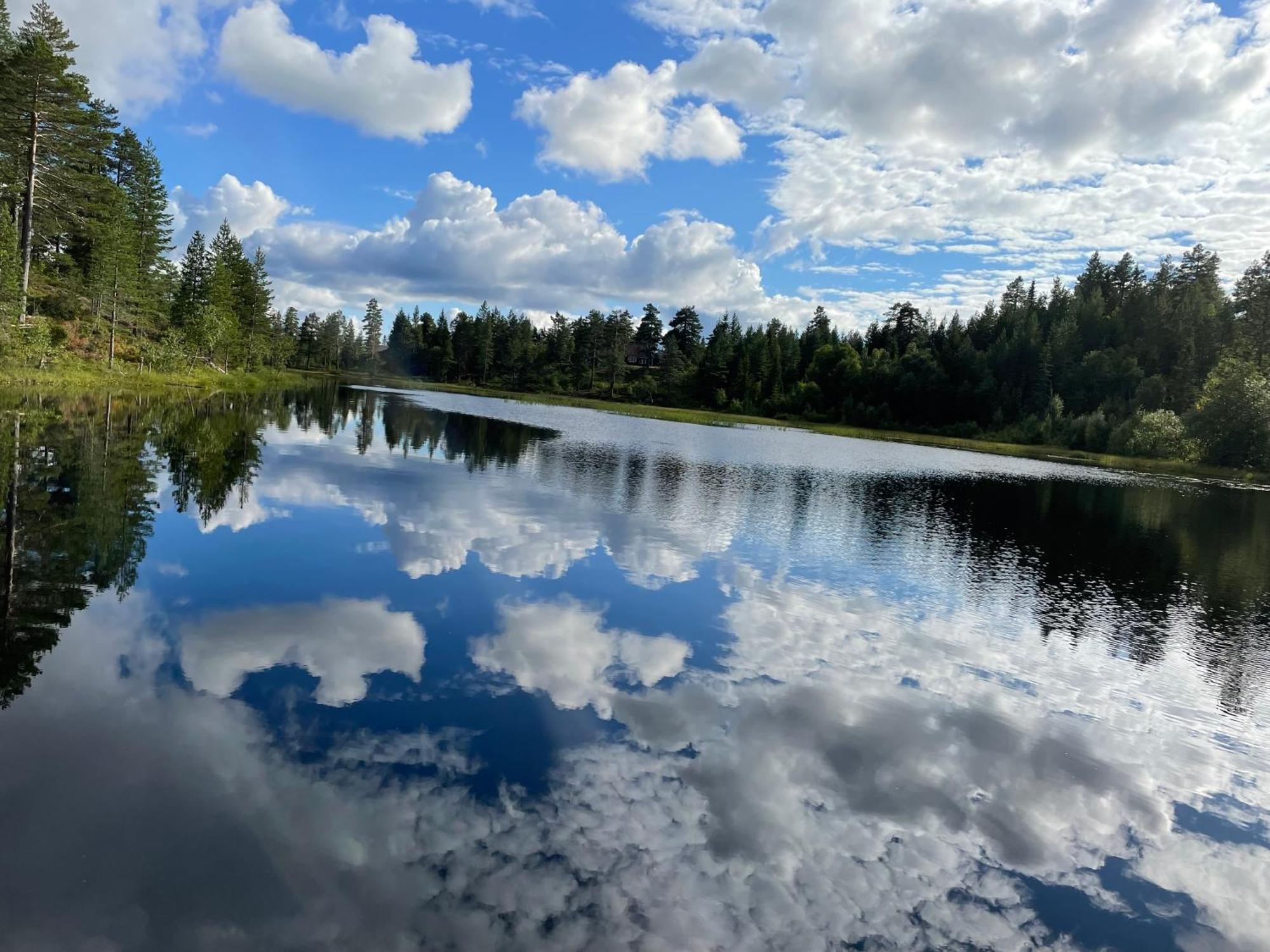 Ro I Sjelen. Hytte Til Leie Pa Skrim. Kongsberg Bagian luar foto