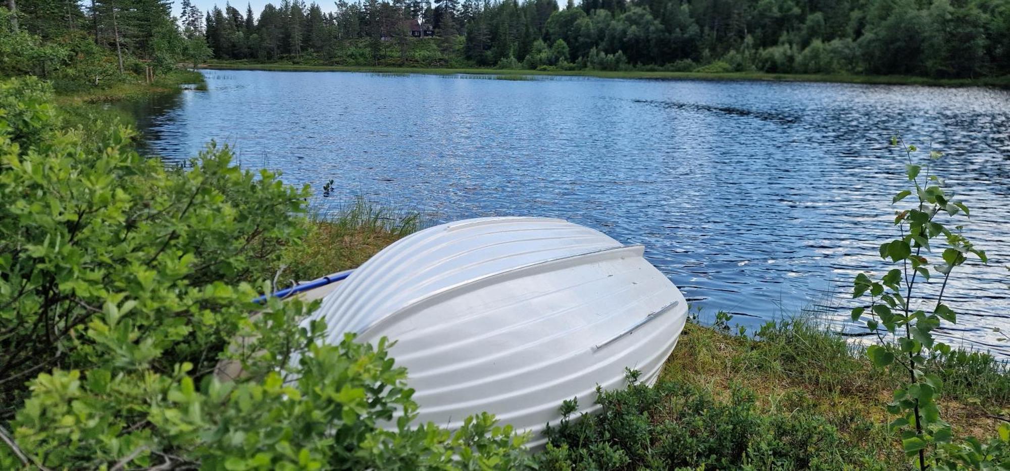 Ro I Sjelen. Hytte Til Leie Pa Skrim. Kongsberg Bagian luar foto